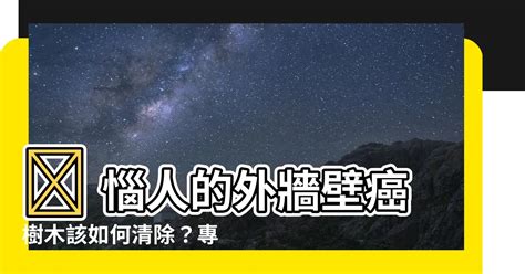 外牆除樹|【外牆除樹】 惱人的外牆壁癌樹木該如何清除？專家出招輕鬆解決！